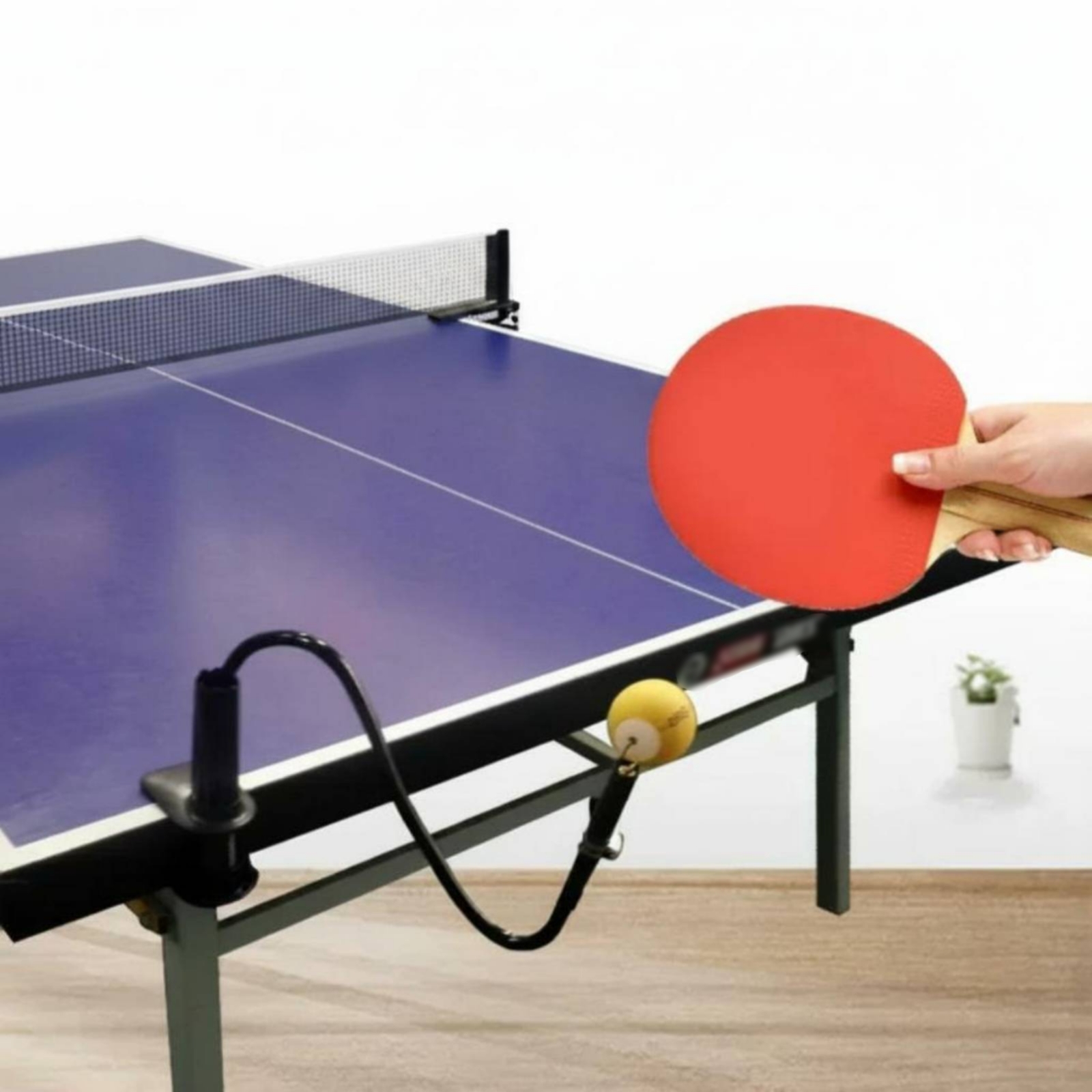 Dispositivo de Práctica Indivi - Table Tennis Youtube reseña y precio