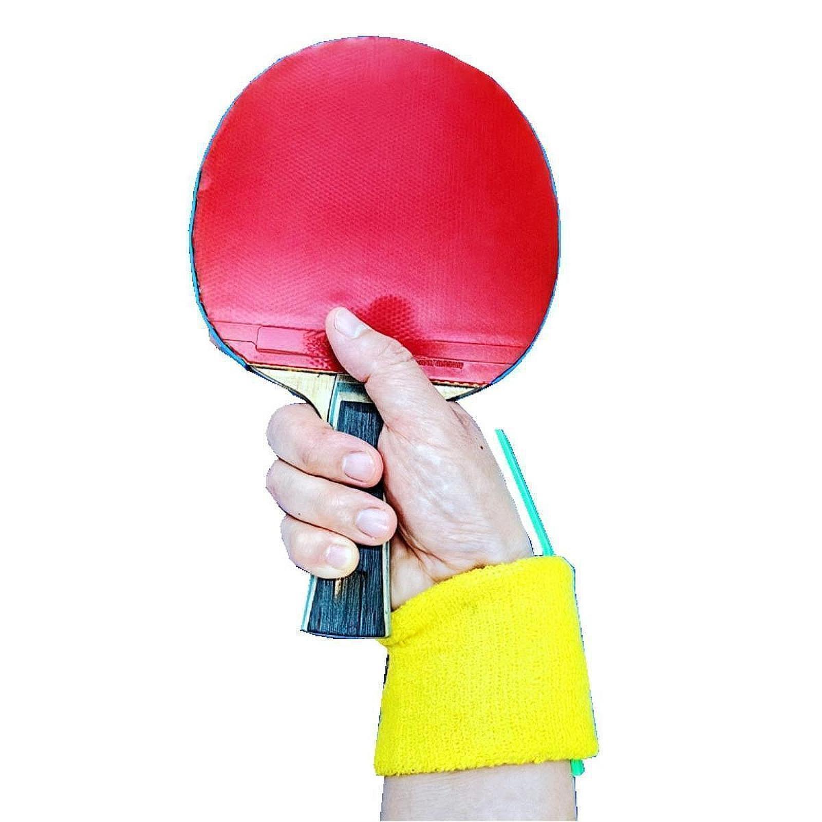 Entrenamiento de tenis de mesa - Table Tennis Is Played With A reseña y precio